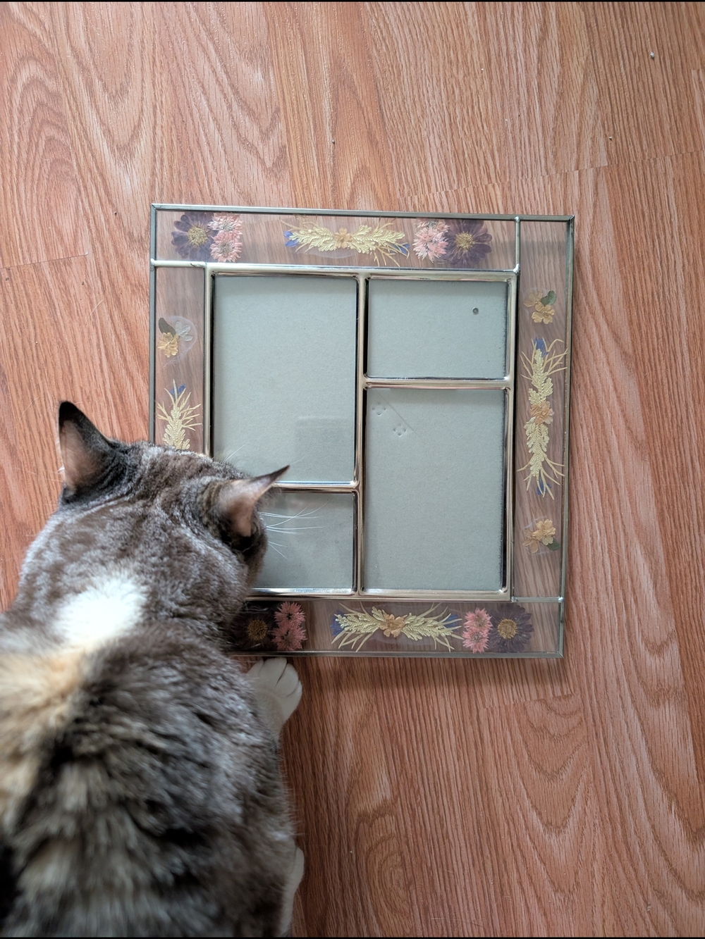 Vintage Pressed Flower Glass Frame - Picture 3 of 4